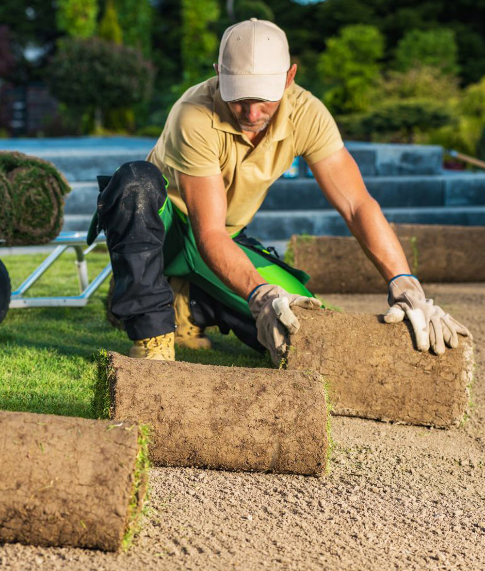 Landscaping SEO Results