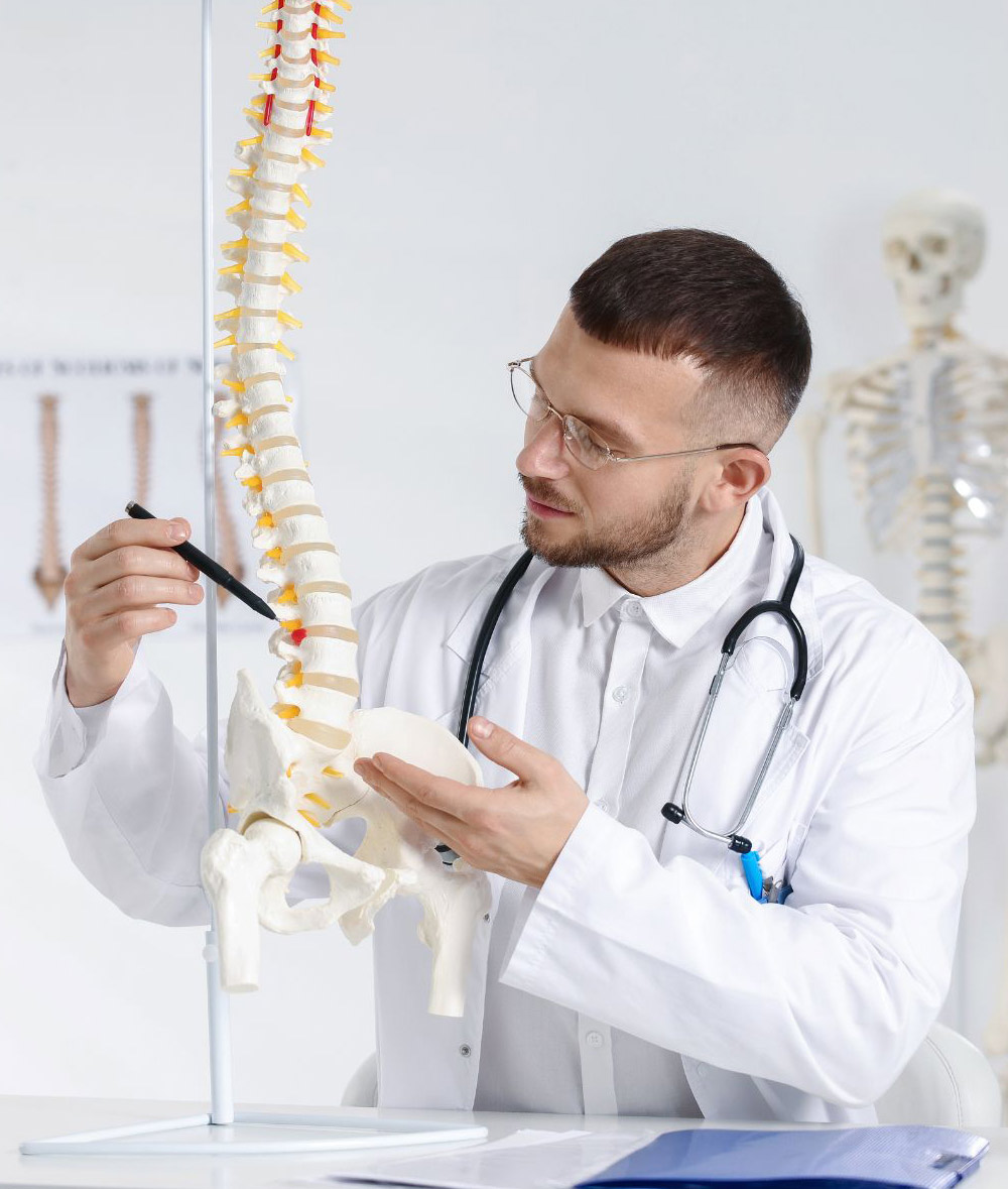 Chiropractic SEO Results